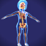Pediatric Orthopedics
